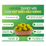 Hạt điều sầu riêng | Durian Flavored Cashew Nuts - 45g - Nông Lâm Food