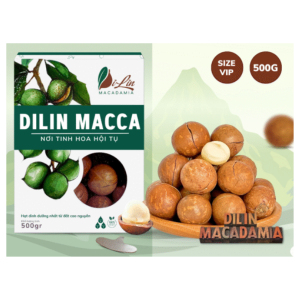 Hạt Macca Dilin size vip - Hộp 500g | DILIN Macadamia Nuts (VIP Size) - 500g Box- DILIN