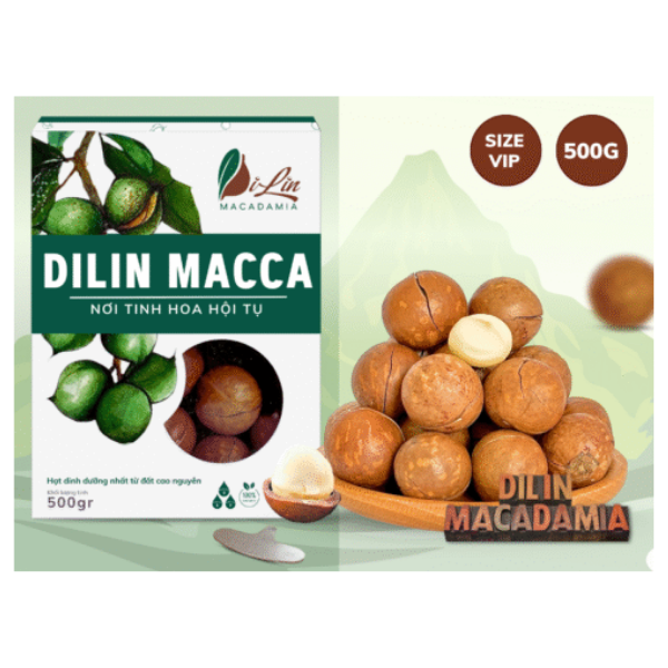 Hạt Macca Dilin size vip - Hộp 500g | DILIN Macadamia Nuts (VIP Size) - 500g Box- DILIN