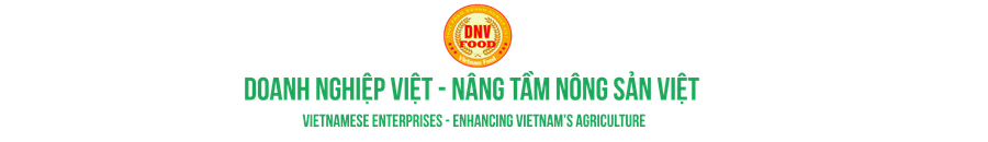 Sáng tạo 2022