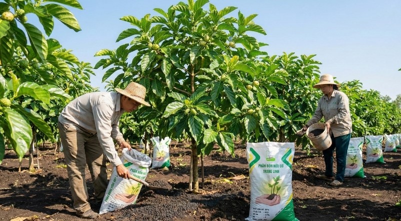 Tạo giá trị từ mỗi mắt xích: Cách Trang Linh xây dựng hệ sinh thái nông nghiệp