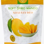 Xoài sấy dẻo - DNV FOOD