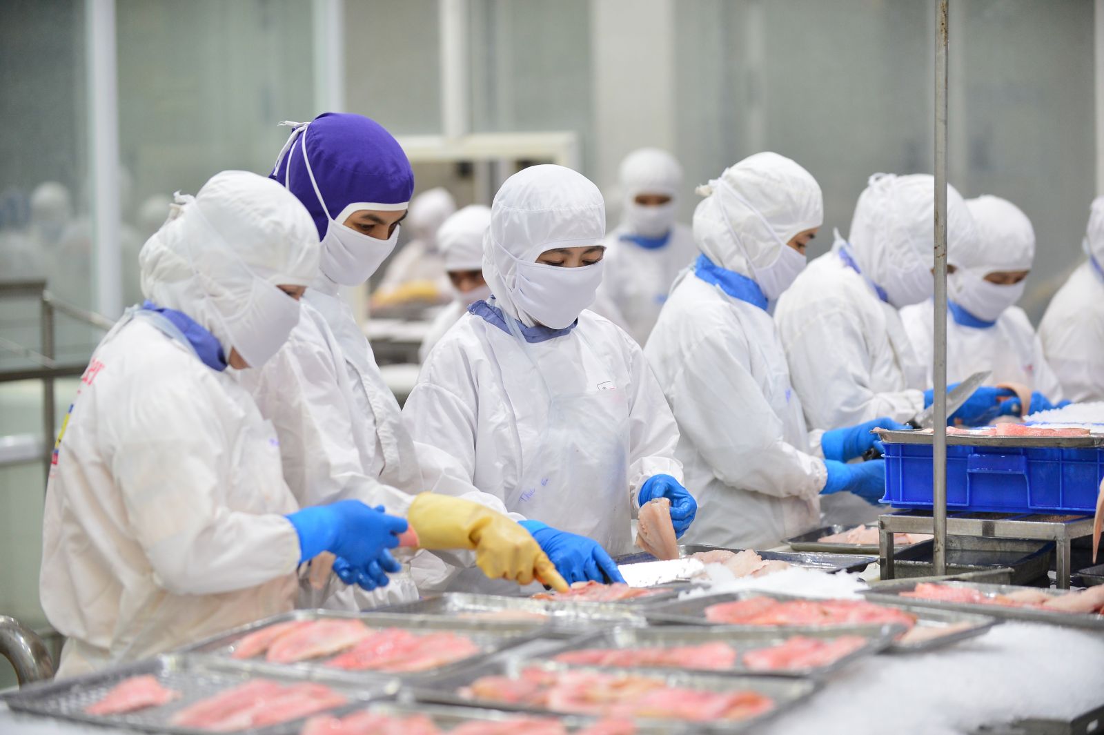 Quan hệ thương mại - đầu tư giữa Việt Nam và Hà Lan năm 2025