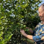 Xuất khẩu nông lâm thủy sản: Nhiều ngành hàng tăng tốc, mở rộng thị phần